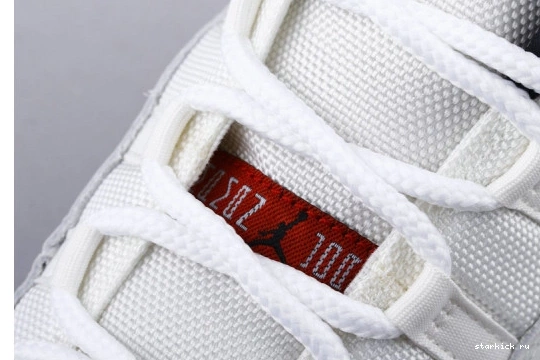 11 378038-016 Retro Tint Platinum  (GS) Jordan 378038-016 1116